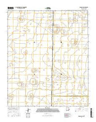Bronco NE New Mexico Current topographic map, 1:24000 scale, 7.5 X 7.5 Minute, Year 2017