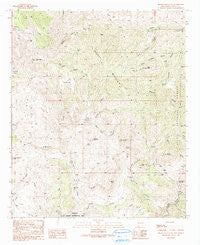 Brushy Mountain New Mexico Historical topographic map, 1:24000 scale, 7.5 X 7.5 Minute, Year 1990