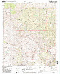 Brushy Mountain New Mexico Historical topographic map, 1:24000 scale, 7.5 X 7.5 Minute, Year 1999