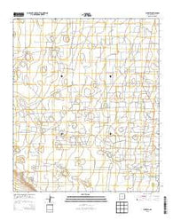 Buckeye New Mexico Historical topographic map, 1:24000 scale, 7.5 X 7.5 Minute, Year 2013