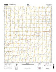 Buckeye NE New Mexico Current topographic map, 1:24000 scale, 7.5 X 7.5 Minute, Year 2017
