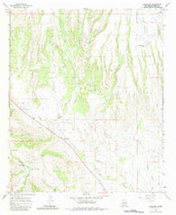 Buckhorn New Mexico Historical topographic map, 1:24000 scale, 7.5 X 7.5 Minute, Year 1965