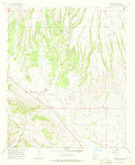 Buckhorn New Mexico Historical topographic map, 1:24000 scale, 7.5 X 7.5 Minute, Year 1965