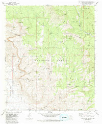 Bug Scuffle Canyon New Mexico Historical topographic map, 1:24000 scale, 7.5 X 7.5 Minute, Year 1981