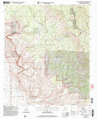 Bug Scuffle Canyon New Mexico Historical topographic map, 1:24000 scale, 7.5 X 7.5 Minute, Year 2004