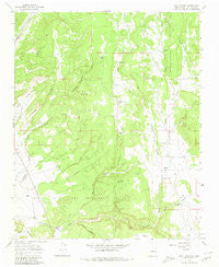 Bull Canyon New Mexico Historical topographic map, 1:24000 scale, 7.5 X 7.5 Minute, Year 1966