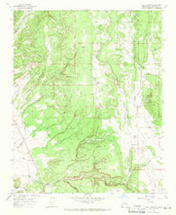 Bull Canyon New Mexico Historical topographic map, 1:24000 scale, 7.5 X 7.5 Minute, Year 1966