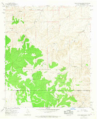 Bullis Spring Ranch New Mexico Historical topographic map, 1:24000 scale, 7.5 X 7.5 Minute, Year 1965