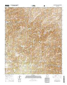 Bullis Spring Ranch New Mexico Historical topographic map, 1:24000 scale, 7.5 X 7.5 Minute, Year 2013