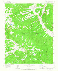 Burned Mountain New Mexico Historical topographic map, 1:24000 scale, 7.5 X 7.5 Minute, Year 1963