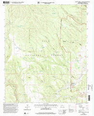 Burnt Corral Canyon New Mexico Historical topographic map, 1:24000 scale, 7.5 X 7.5 Minute, Year 1999