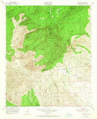 Burro Peak New Mexico Historical topographic map, 1:24000 scale, 7.5 X 7.5 Minute, Year 1950