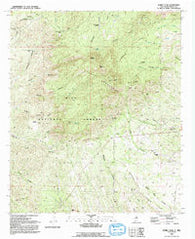 Burro Peak New Mexico Historical topographic map, 1:24000 scale, 7.5 X 7.5 Minute, Year 1992