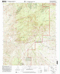 Burro Peak New Mexico Historical topographic map, 1:24000 scale, 7.5 X 7.5 Minute, Year 1999