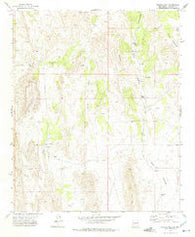 Bustos Well New Mexico Historical topographic map, 1:24000 scale, 7.5 X 7.5 Minute, Year 1972