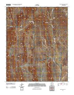 Bustos Well New Mexico Historical topographic map, 1:24000 scale, 7.5 X 7.5 Minute, Year 2010