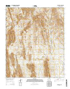 Bustos Well New Mexico Historical topographic map, 1:24000 scale, 7.5 X 7.5 Minute, Year 2013