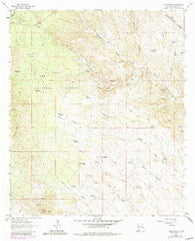 C Bar Ranch New Mexico Historical topographic map, 1:24000 scale, 7.5 X 7.5 Minute, Year 1963