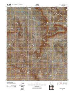Cactus Tank New Mexico Historical topographic map, 1:24000 scale, 7.5 X 7.5 Minute, Year 2010