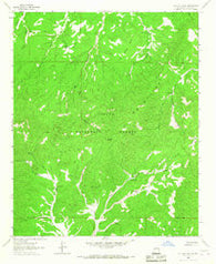 Cal Ship Mesa New Mexico Historical topographic map, 1:24000 scale, 7.5 X 7.5 Minute, Year 1963