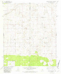 Camaleon Draw East New Mexico Historical topographic map, 1:24000 scale, 7.5 X 7.5 Minute, Year 1981