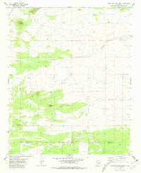 Camaleon Draw West New Mexico Historical topographic map, 1:24000 scale, 7.5 X 7.5 Minute, Year 1981