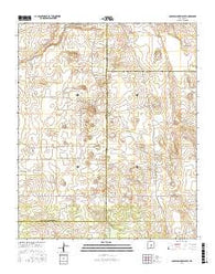 Camaleon Draw East New Mexico Current topographic map, 1:24000 scale, 7.5 X 7.5 Minute, Year 2017