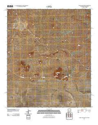 Camel Mountain New Mexico Historical topographic map, 1:24000 scale, 7.5 X 7.5 Minute, Year 2010