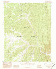 Canada Ojitos New Mexico Historical topographic map, 1:24000 scale, 7.5 X 7.5 Minute, Year 1983