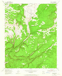 Canjilon New Mexico Historical topographic map, 1:24000 scale, 7.5 X 7.5 Minute, Year 1953