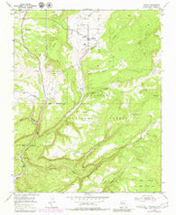Canjilon New Mexico Historical topographic map, 1:24000 scale, 7.5 X 7.5 Minute, Year 1953