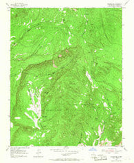 Canjilon SE New Mexico Historical topographic map, 1:24000 scale, 7.5 X 7.5 Minute, Year 1953