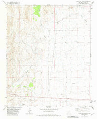 Canon Agua Buena New Mexico Historical topographic map, 1:24000 scale, 7.5 X 7.5 Minute, Year 1981