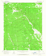Canon Plaza New Mexico Historical topographic map, 1:24000 scale, 7.5 X 7.5 Minute, Year 1963