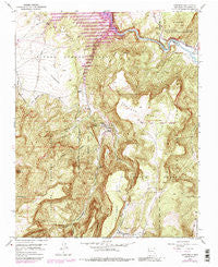 Canones New Mexico Historical topographic map, 1:24000 scale, 7.5 X 7.5 Minute, Year 1953