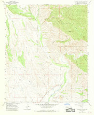 Canteen Canyon New Mexico Historical topographic map, 1:24000 scale, 7.5 X 7.5 Minute, Year 1965