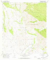 Canteen Canyon New Mexico Historical topographic map, 1:24000 scale, 7.5 X 7.5 Minute, Year 1965