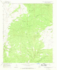 Canyon Creek Mountains New Mexico Historical topographic map, 1:24000 scale, 7.5 X 7.5 Minute, Year 1965