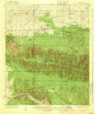 Capitan Mountains New Mexico Historical topographic map, 1:62500 scale, 15 X 15 Minute, Year 1940