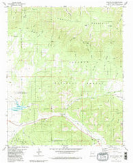 Capitan Pass New Mexico Historical topographic map, 1:24000 scale, 7.5 X 7.5 Minute, Year 1981