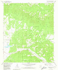 Capitan Pass New Mexico Historical topographic map, 1:24000 scale, 7.5 X 7.5 Minute, Year 1981