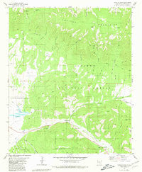 Capitan Pass New Mexico Historical topographic map, 1:24000 scale, 7.5 X 7.5 Minute, Year 1981