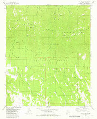 Capitan Peak New Mexico Historical topographic map, 1:24000 scale, 7.5 X 7.5 Minute, Year 1981