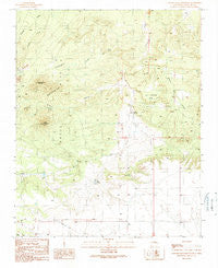 Captain Davis Mountain New Mexico Historical topographic map, 1:24000 scale, 7.5 X 7.5 Minute, Year 1990