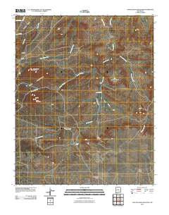 Captain Davis Mountain New Mexico Historical topographic map, 1:24000 scale, 7.5 X 7.5 Minute, Year 2010