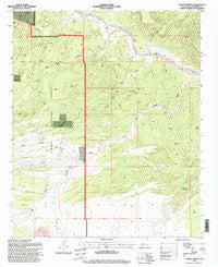 Carbon Springs New Mexico Historical topographic map, 1:24000 scale, 7.5 X 7.5 Minute, Year 1995