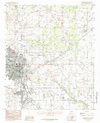 Carlsbad East New Mexico Historical topographic map, 1:24000 scale, 7.5 X 7.5 Minute, Year 1985