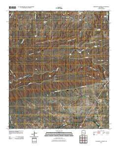 Carlsbad Caverns New Mexico Historical topographic map, 1:24000 scale, 7.5 X 7.5 Minute, Year 2010