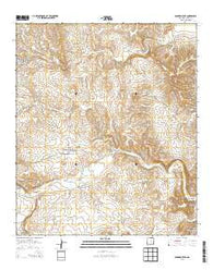 Carnero Peak New Mexico Historical topographic map, 1:24000 scale, 7.5 X 7.5 Minute, Year 2013