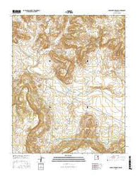 Carpenter Mesa SW New Mexico Current topographic map, 1:24000 scale, 7.5 X 7.5 Minute, Year 2017